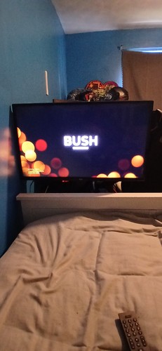 Bush inch 32ft24ca - bush,